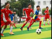 阿斯顿维拉VS热刺直播_阿斯顿维拉VS热刺免费在线高清直播_阿斯顿维拉VS热刺视频在线观看无插件